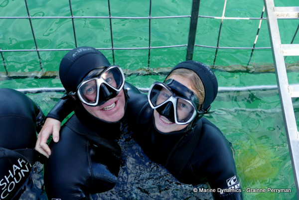 Shark cage diving, South Africa
